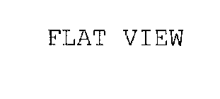 FLAT VIEW