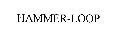 HAMMER-LOOP