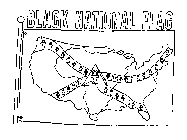 BLACK NATIONAL FLAG