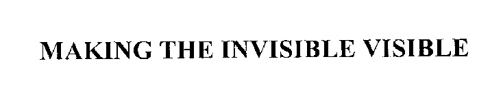 MAKING THE INVISIBLE VISIBLE
