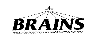 BRAINS BAGGAGE ROUTING AND INFORMATION SYSTEM