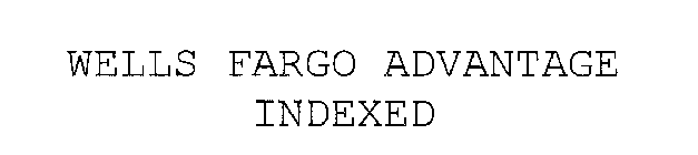 WELLS FARGO ADVANTAGE INDEXED