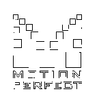 MOTION PERFECT