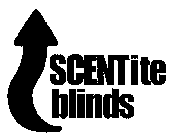 SCENTITE BLINDS