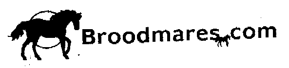 BROODMARES.COM