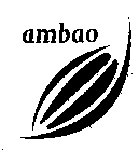 AMBAO