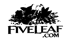 FIVELEAF.COM