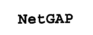 NETGAP