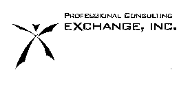PROFESSIONAL CONSULTING EXCHANGE, INC.