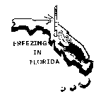 FREEZING IN FLORIDA