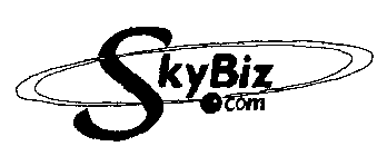 SKYBIZ.COM