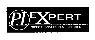 P.I. EXPERT PROCESS IMPROVEMENT SOLUTIONS