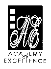 AE ACADEMY OF EXCELLENCE