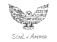 SOUL OF AMERICA