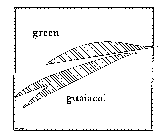 GREEN GUAIACOL