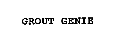 GROUT GENIE