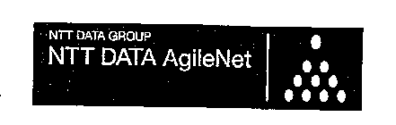 NTT DATA GROUP NTT DATA AGILENET