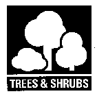 TREES & SHRUBS