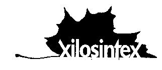 XILOSINTEX