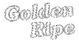 GOLDEN RIPE