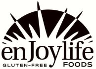 ENJOYLIFE FOODS GLUTEN-FREE