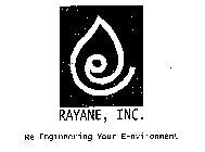 RAYANE, INC. RE-ENGINEERING YOUR E-NVIRONMENT