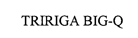 TRIRIGA BIG-Q