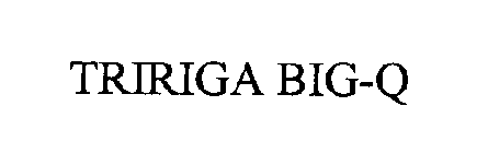 TRIRIGA BIG-Q