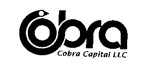COBRA COBRA CAPITAL LLC