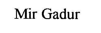 MIR GADUR