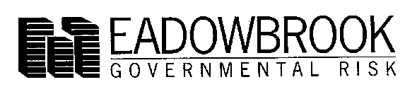 MEADOWBROOK GOVERNMENTAL RISK