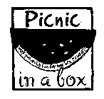 PICNIC IN A BOX WAY TOO MUCH FUN FOR ONE BOX TO HOLD!!!