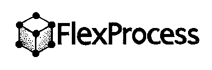 FLEXPROCESS