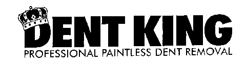 DENT KING PROFESSIONAL PAINTLESS DENT REMOVAL