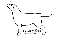 YELLOW DOG NORTH CONWAY