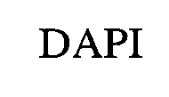 DAPI