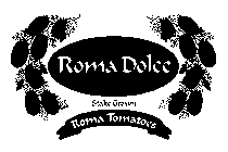 ROMA DOLCE STAKE GROWN ROMA TOMATOES