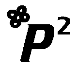 P 2