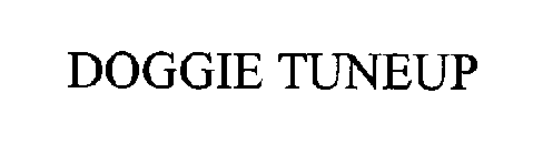 DOGGIE TUNEUP