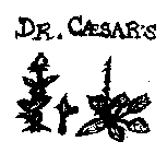 DR. CAESAR'S
