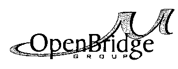 OPENBRIDGE GROUP