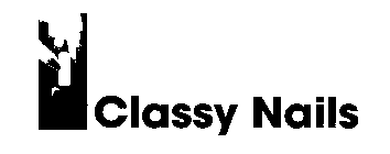 CLASSY NAILS