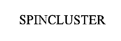 SPINCLUSTER