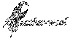 FEATHER-WOOL