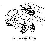DRIVE YOUR BRAIN