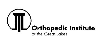 ORTHOPEDIC INSTITUTE OF THE GREAT LAKES