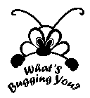 WHAT'S BUGGING YOU?