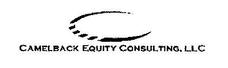 CAMELBACK EQUITY CONSULTING. LLC
