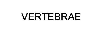 VERTEBRAE