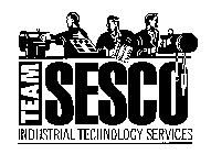 TEAM SESCO INDUSTRIAL TECHNOLOGY SERVICES